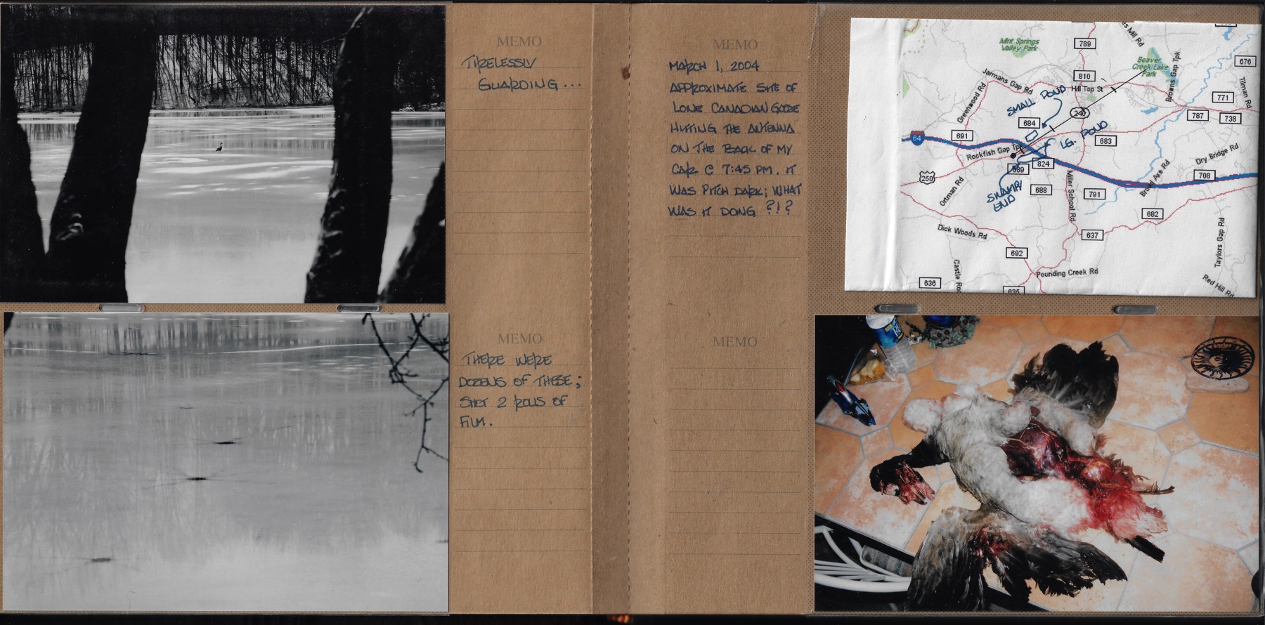 Episode Three: The Energy Around Us